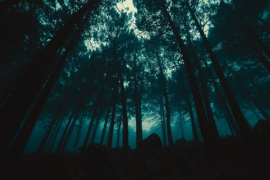 Homepage for Gaming Horror & Paranormal Gaming psychological horror