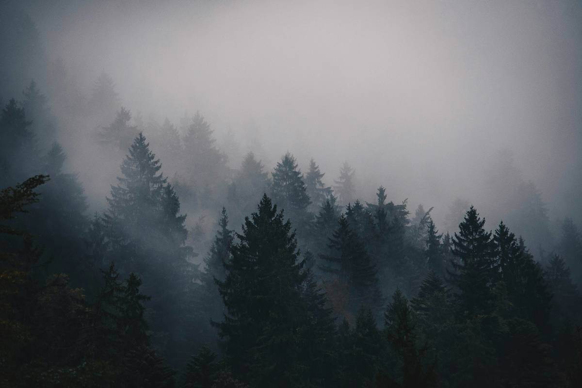 List of Psychological Thrillers That Redefine Fear in Gaming and Fiction