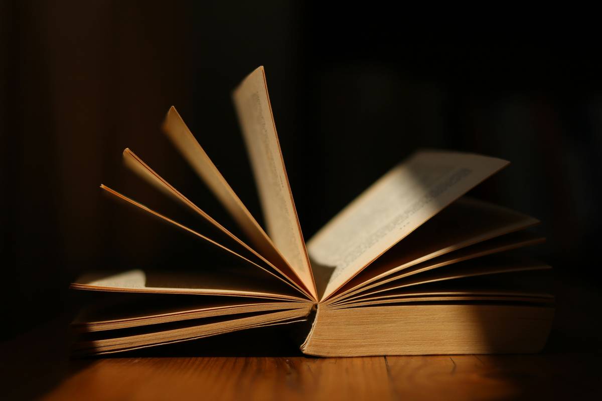 psychological thriller book ideas exploring memory distortion and identity loss