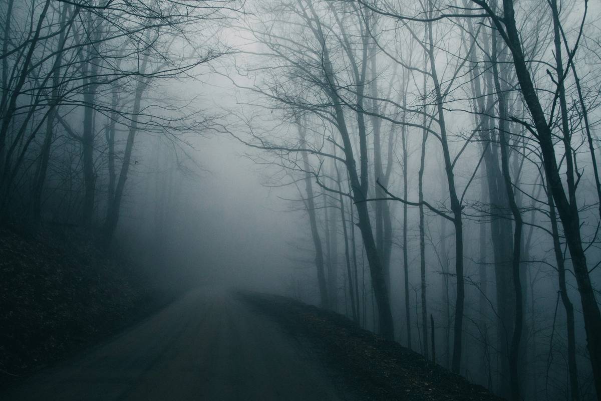 Psychological Thriller Books for Adults: 7 Proven Ways to Avoid Sleepless Nights