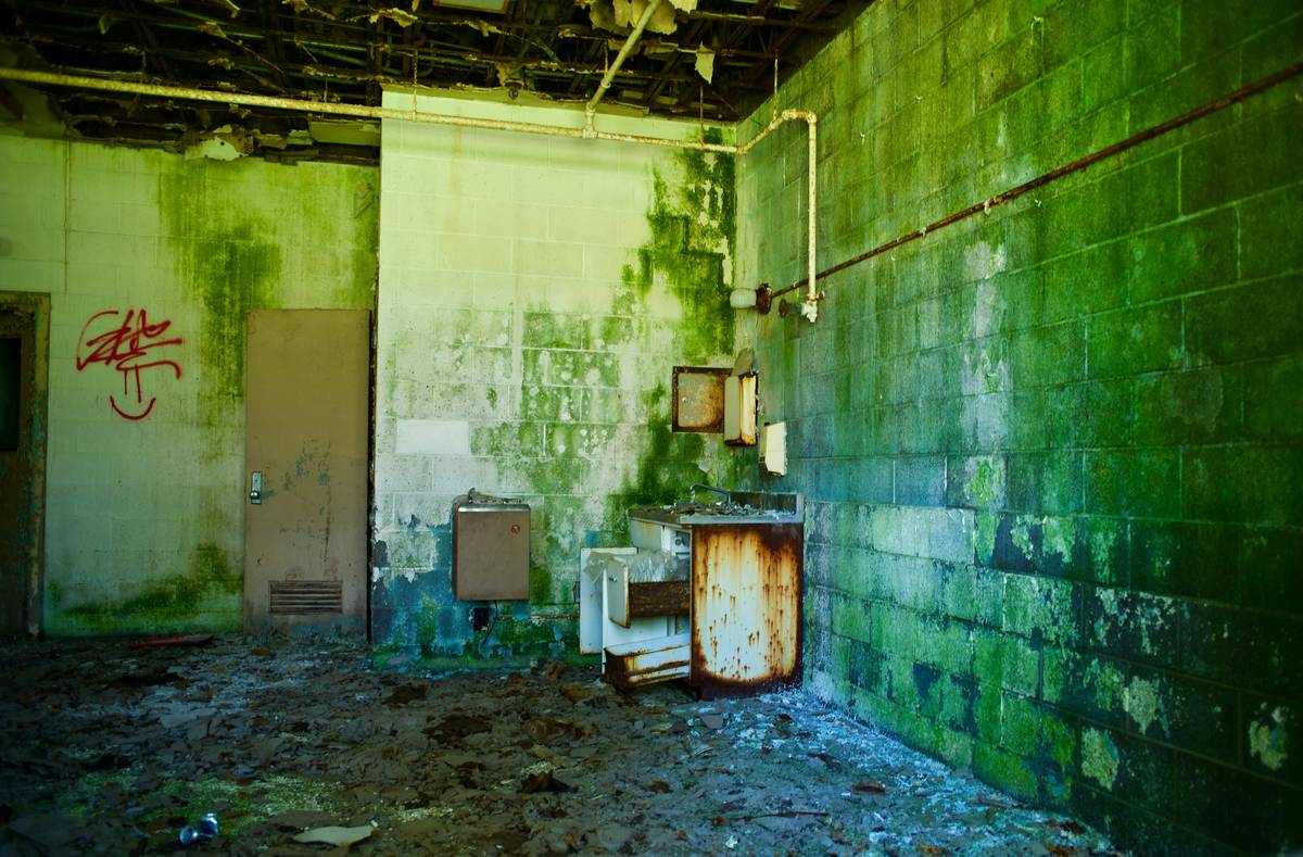 Psychological Horror Examples: 7 Proven Ways to Avoid Common Gaming Mistakes